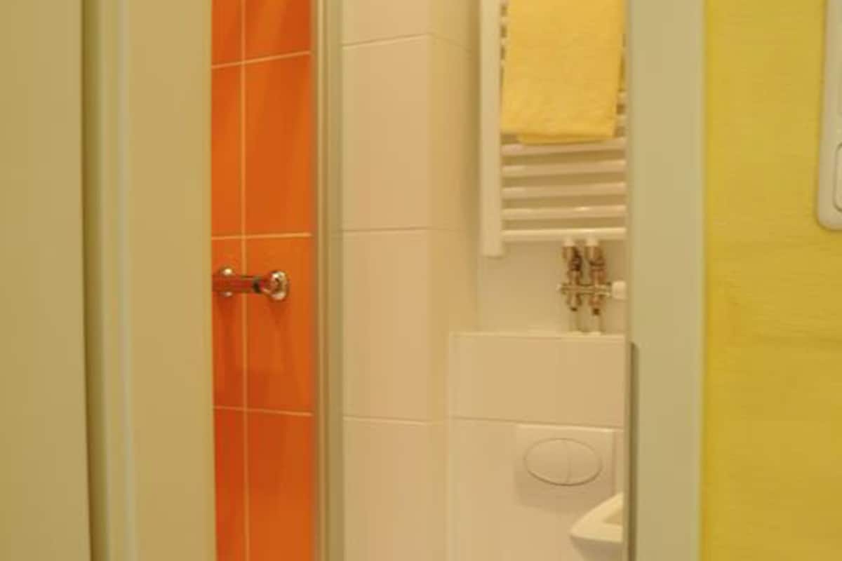 single room | bathroom | shower, hair dryer, towels