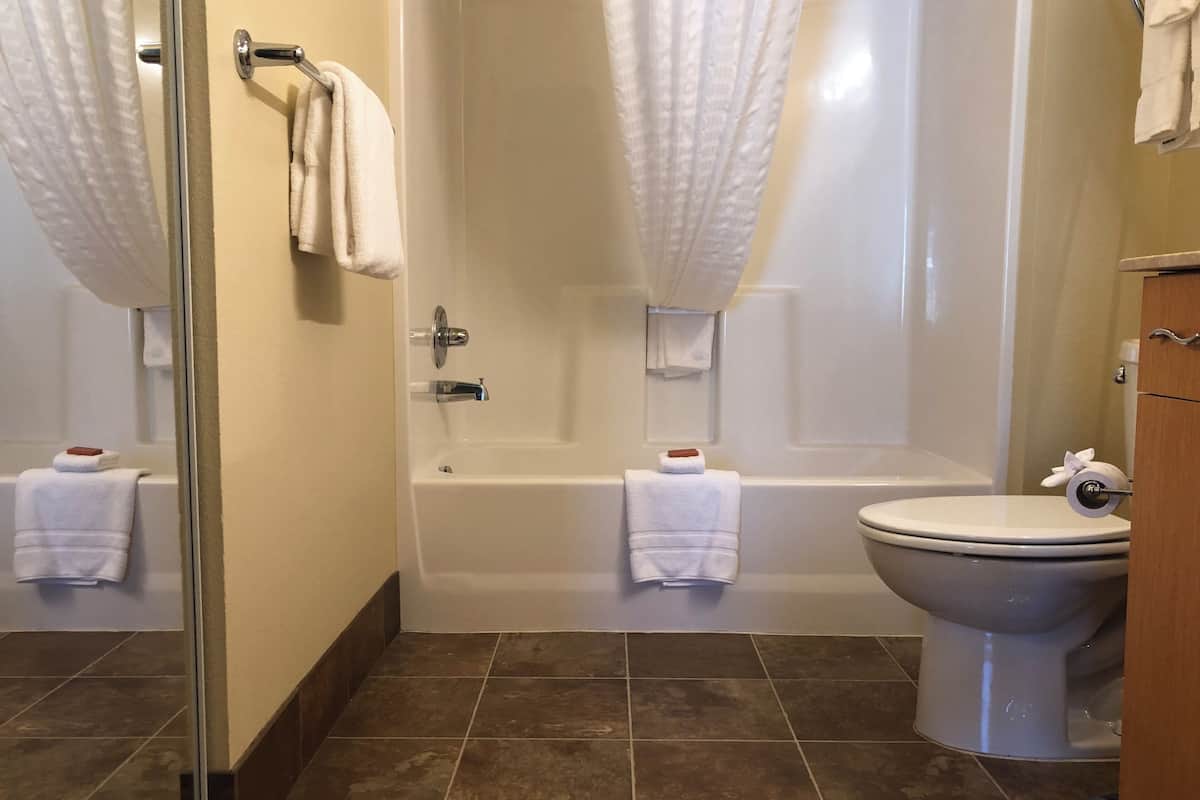 combined shower/bathtub, hair dryer, towels, soap