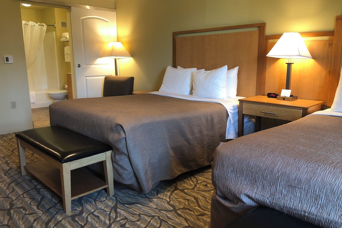 deluxe studio suite, 2 queen beds | 1 bedroom, premium bedding, desk, blackout curtains