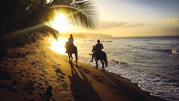 Horseback riding