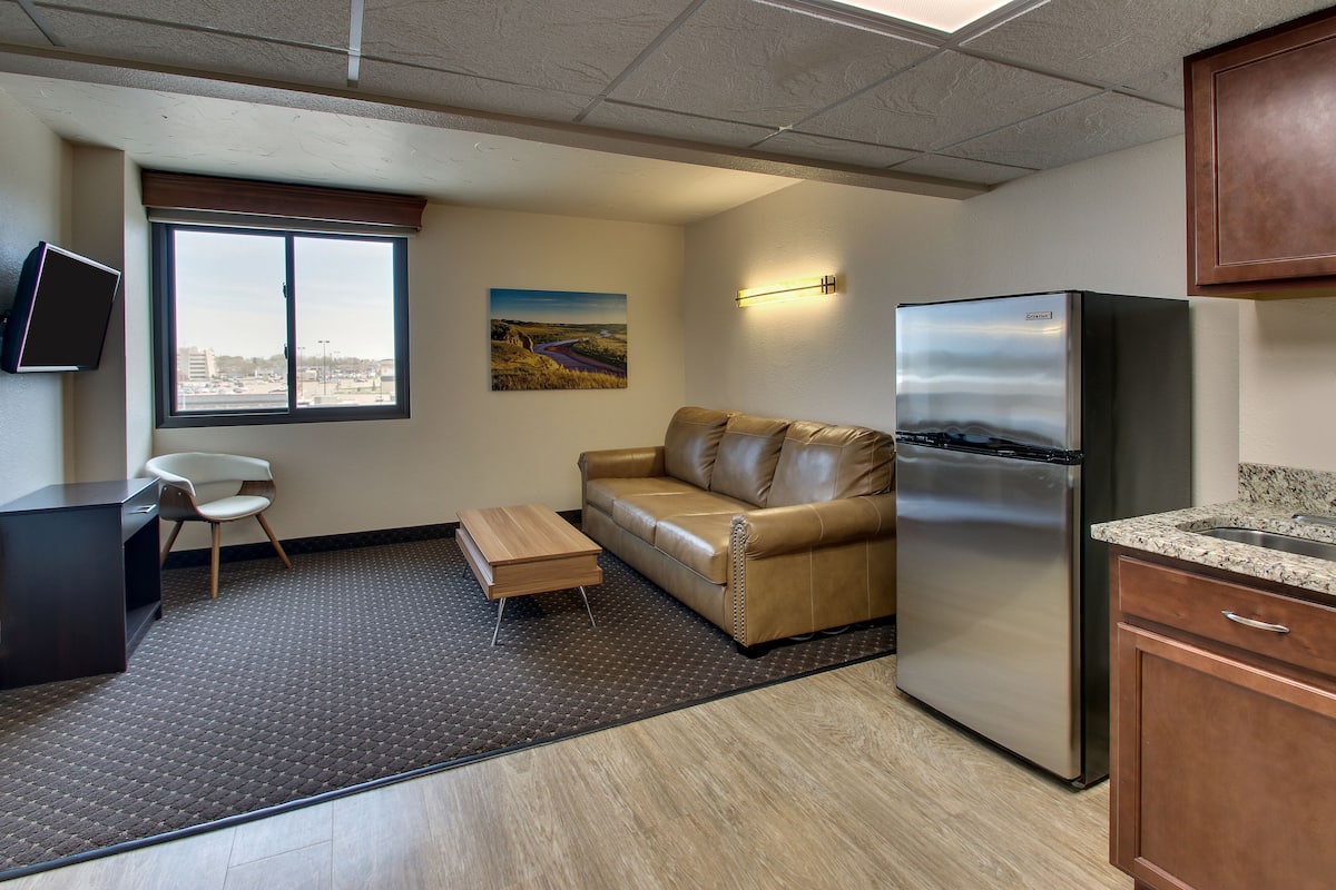 deluxe suite, 1 queen bed | living area | 40-inch flat-screen tv with cable channels, tv