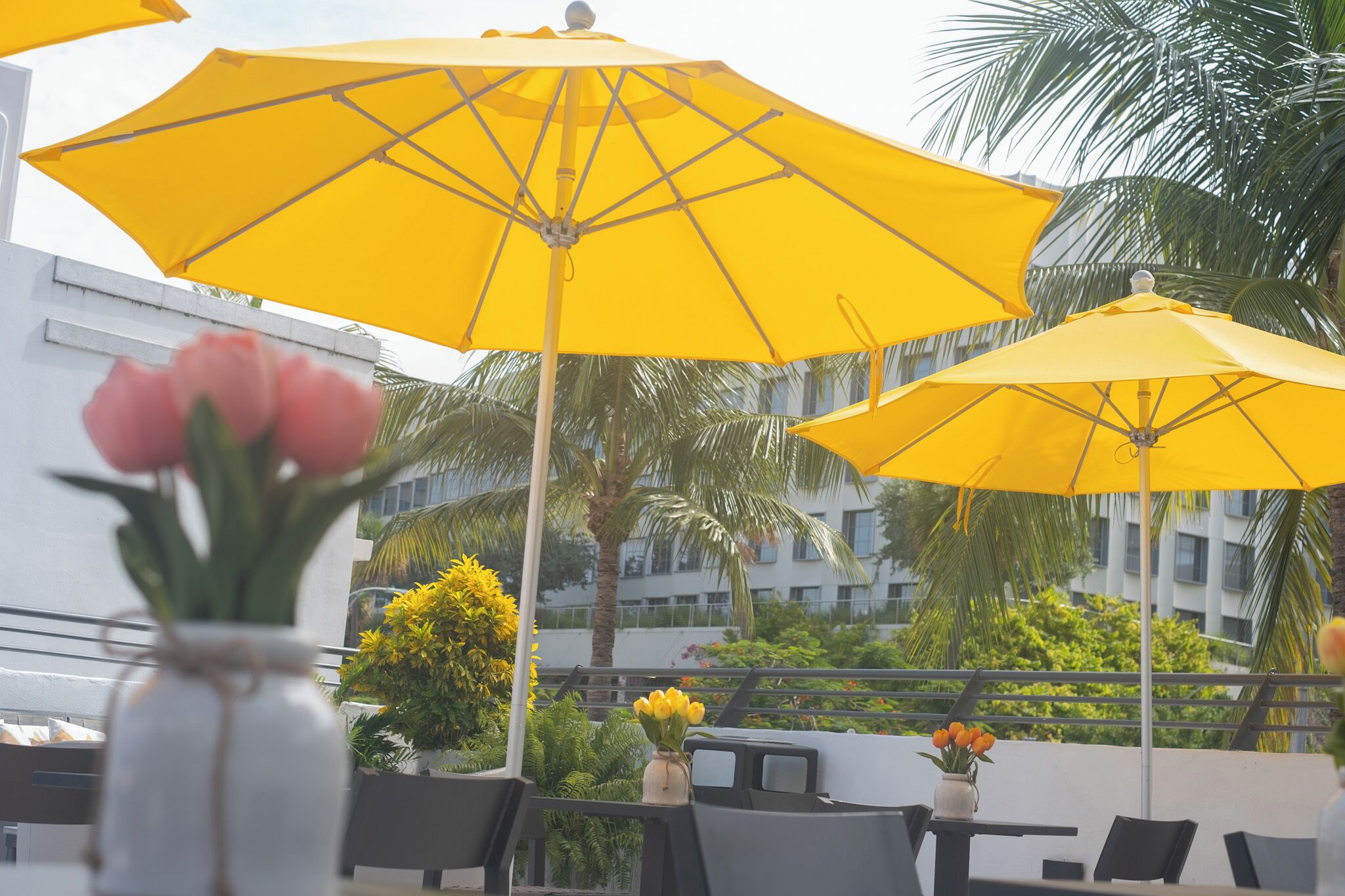 Foto - The Cove By Renzzi