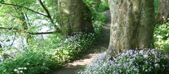 The Old Station House - B&B