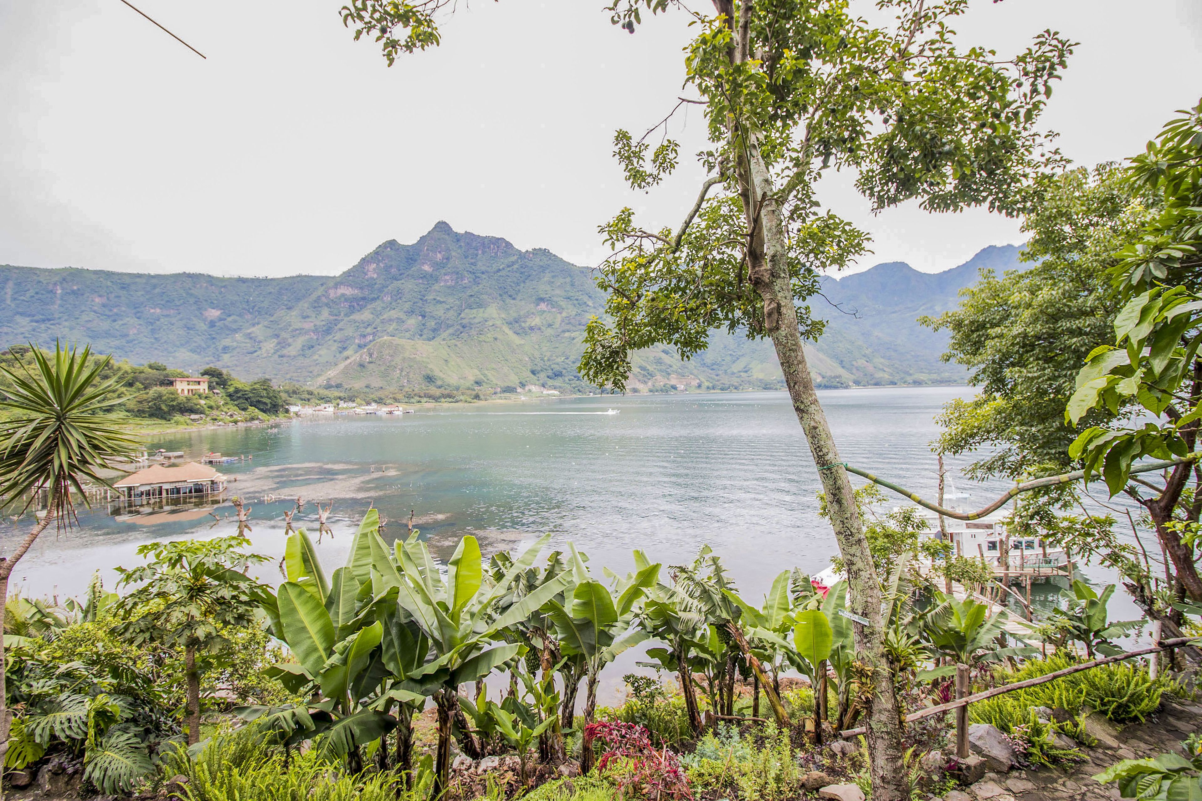 Un paisaje tropical con un lago, montañas y vegetación exuberante.