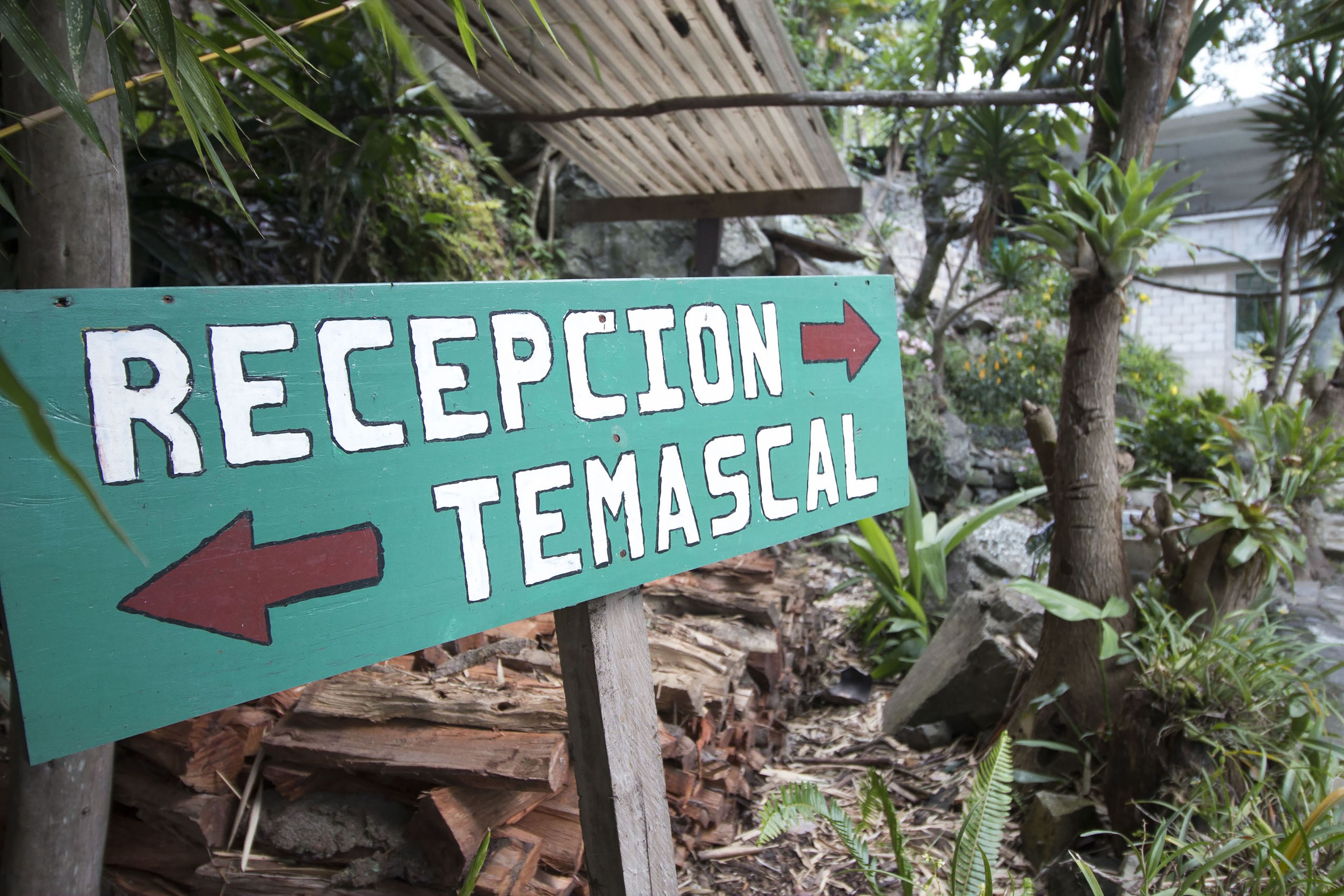 A sign with "RECEPTION" and "TEMASCAL" written on it, with arrows pointing left and right.