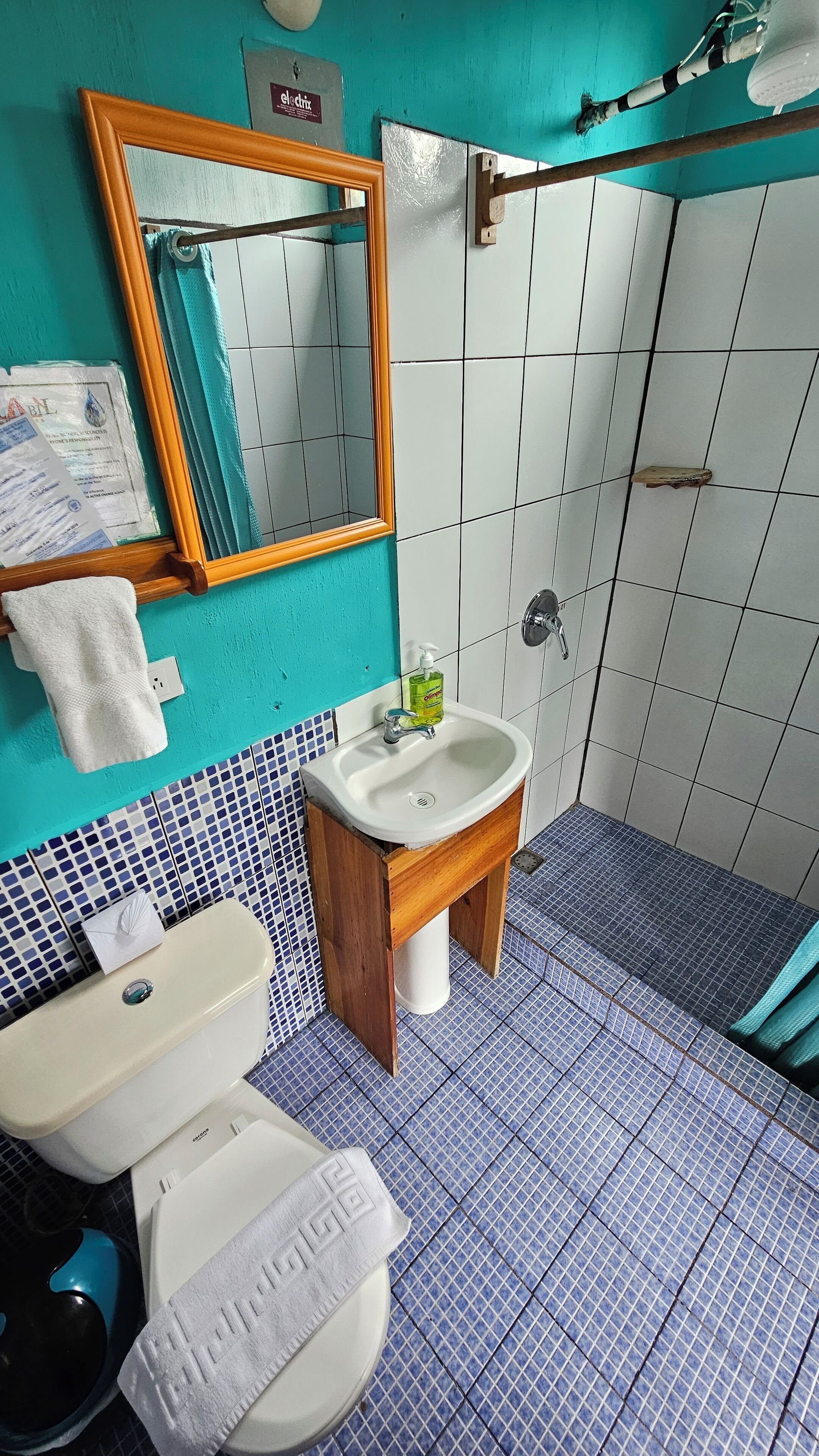 standard single room, 1 double bed | bathroom | shower, hydromassage showerhead, towels