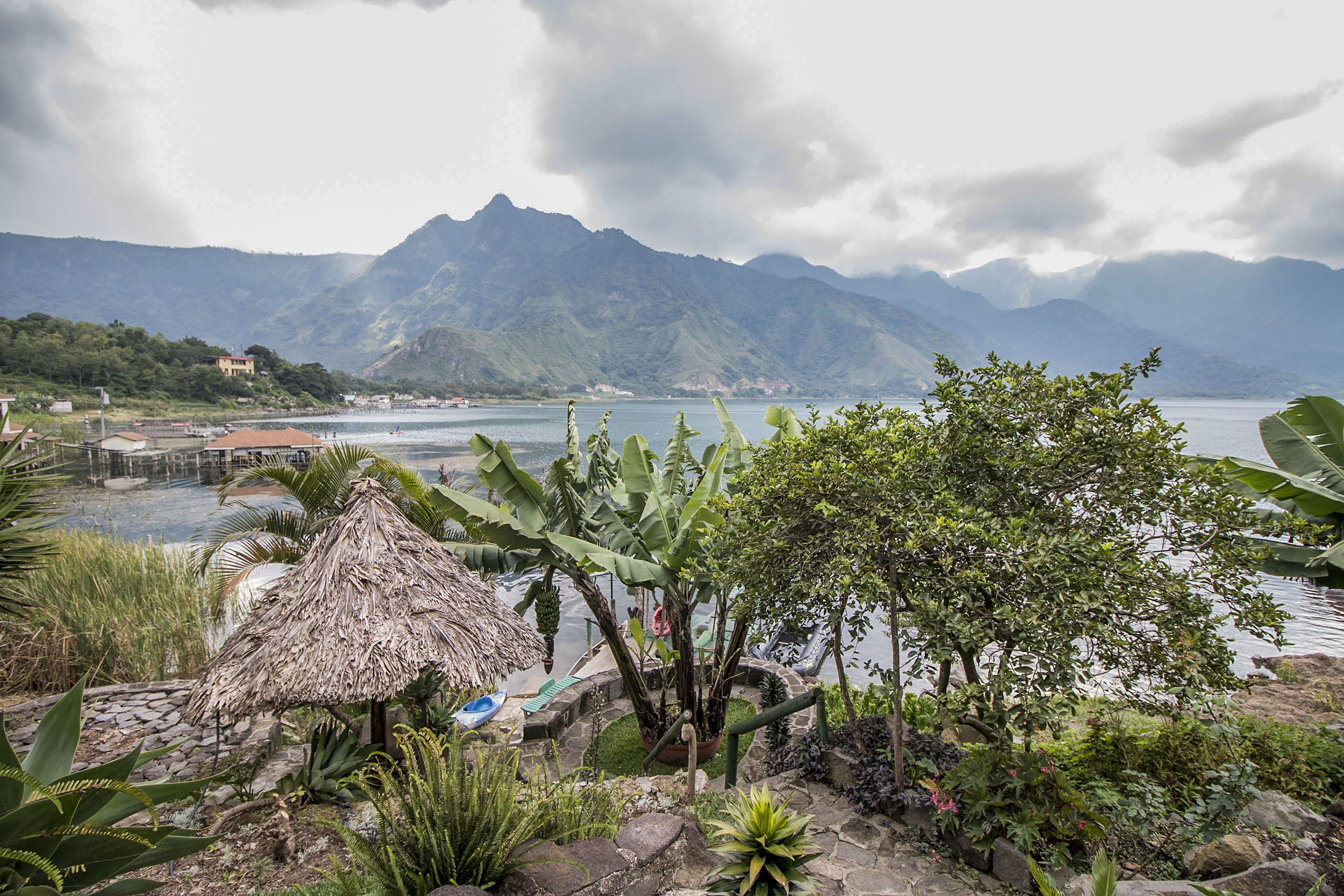 Un jardín tropical con una cabaña de techo de paja, abundante vegetación y vistas a montañas y agua.