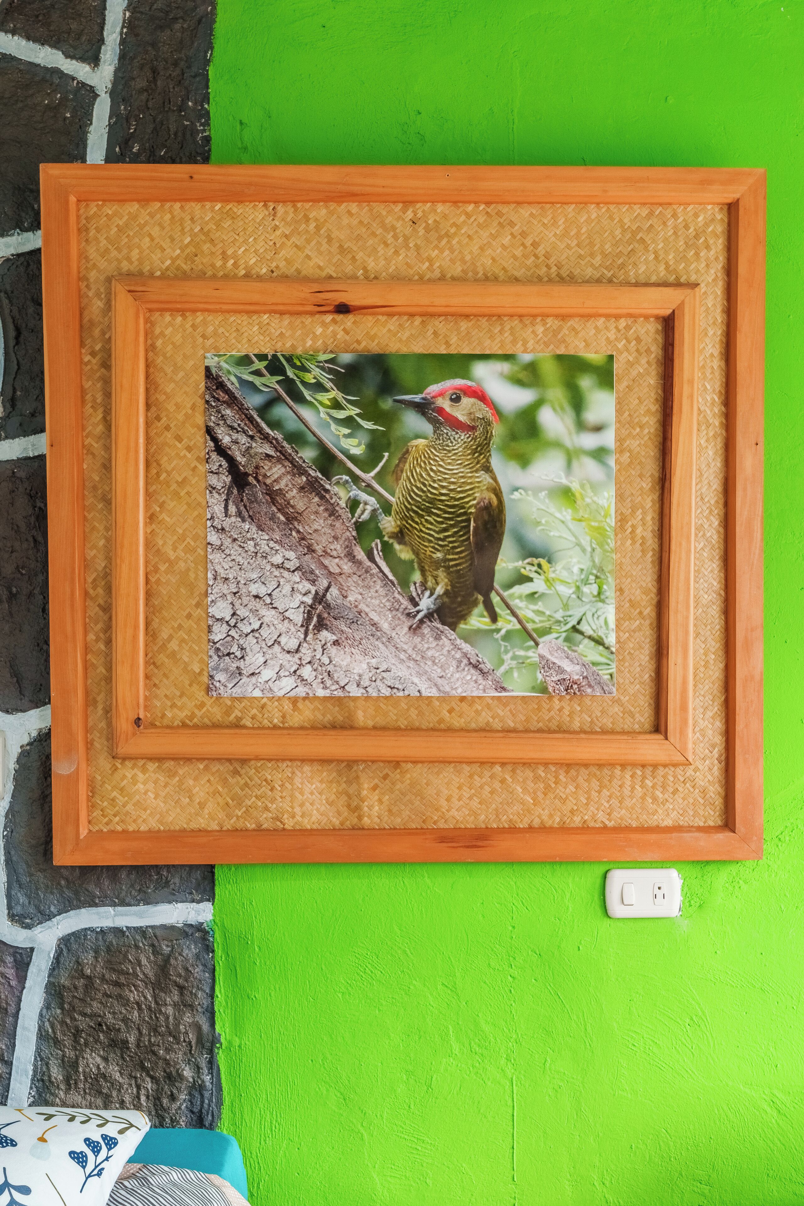 A framed picture of a bird on a branch, set against a green wall with a stone base.