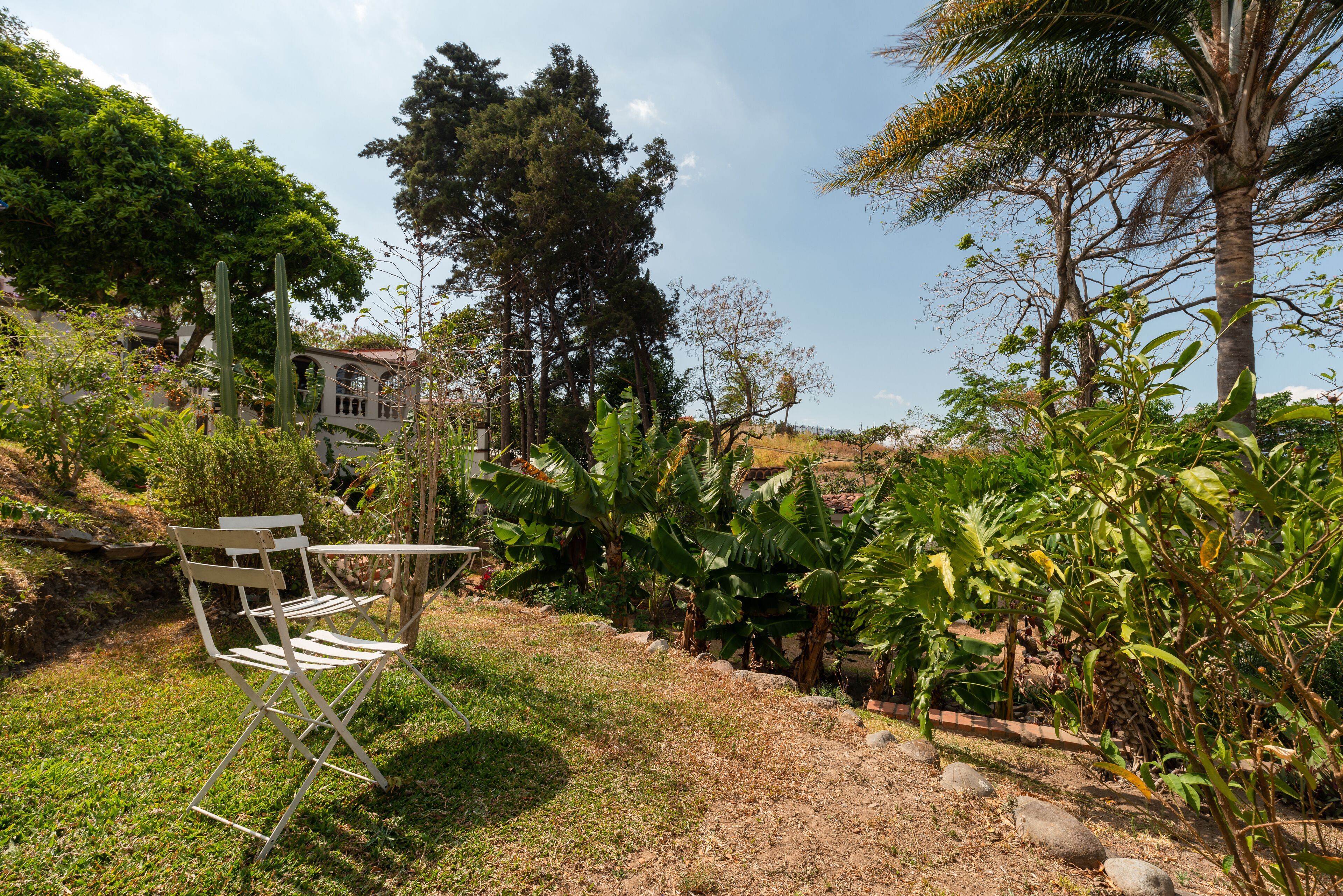 A garden with a white folding chair, various plants, and a building in the background.