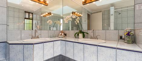 A modern bathroom with two sinks, a large mirror, and a potted orchid.