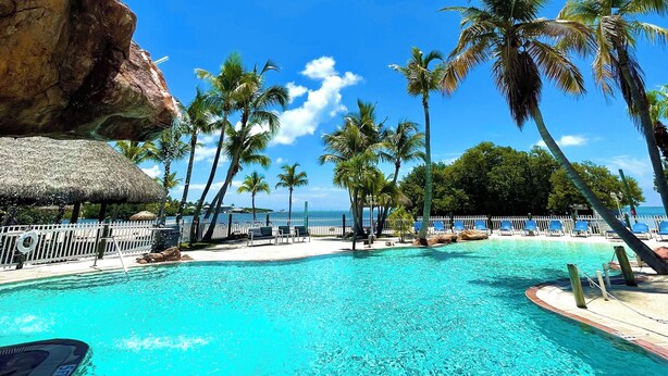 A clear blue pool surrounded by palm trees and a thatched-roof structure, with a view of the ocean in the background.