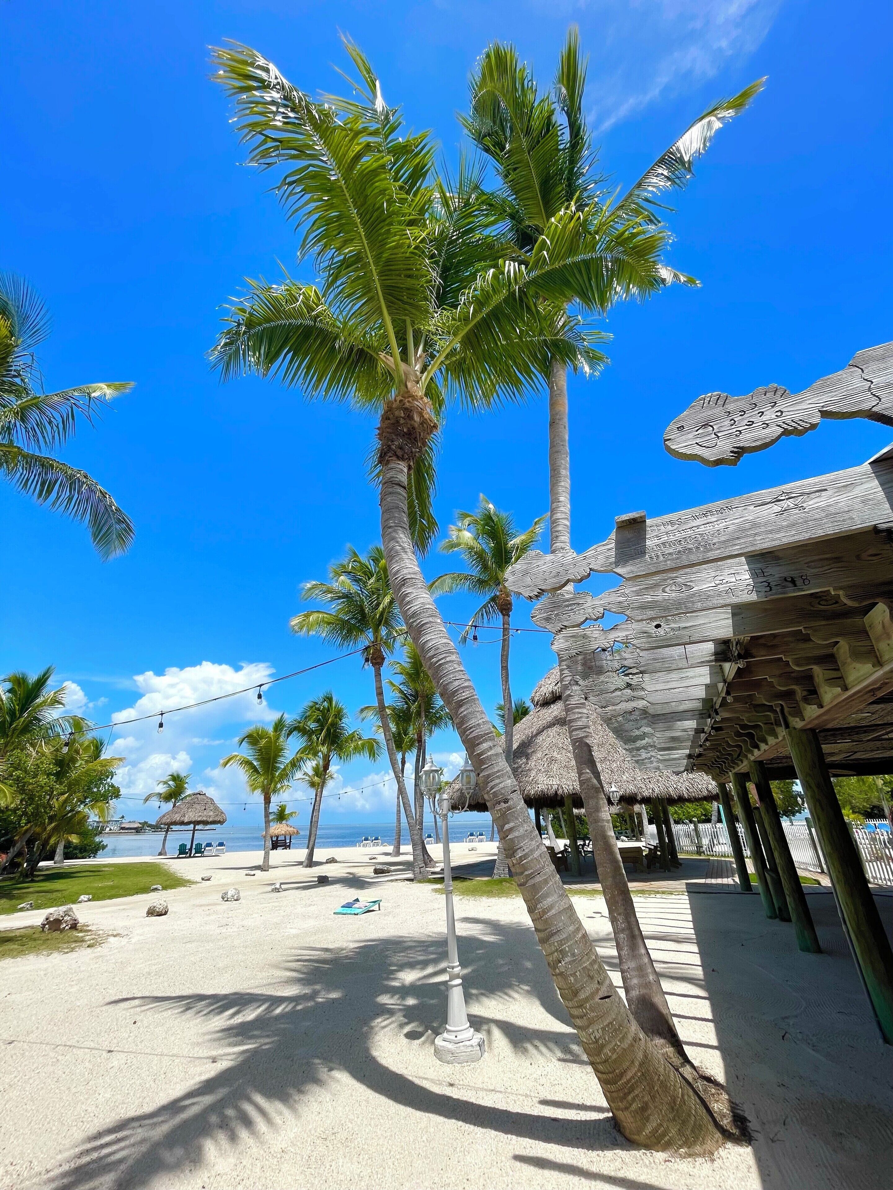 Ein Strand mit Palmen, einer Holzkonstruktion und blauem Himmel.