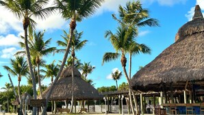 A beachside resort with thatched-roof huts, palm trees, and a sandy area with rocks and wooden chairs.