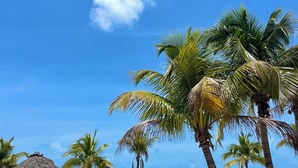A beach with palm trees, a thatched-roof hut, and lounge chairs.