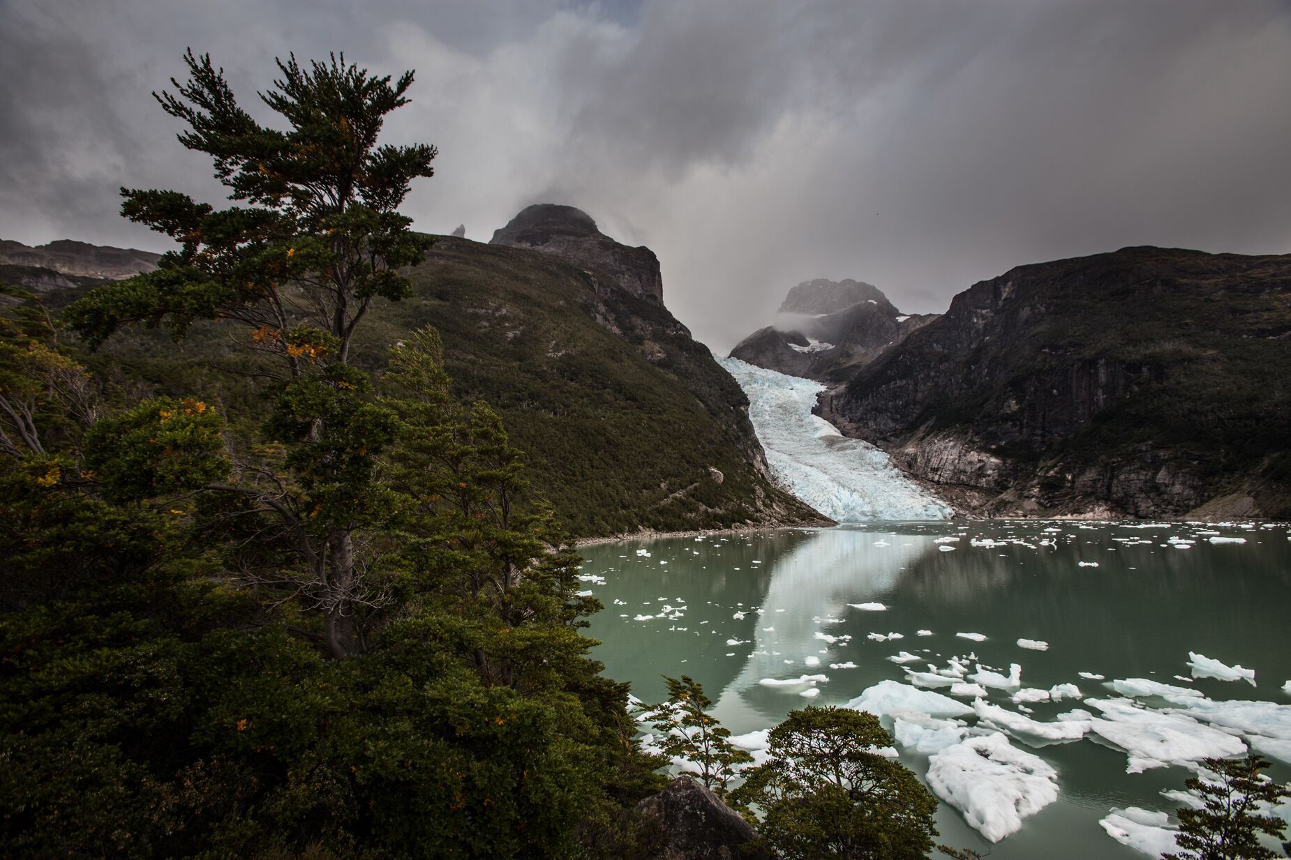Un glaciar con icebergs en un valle boscoso.