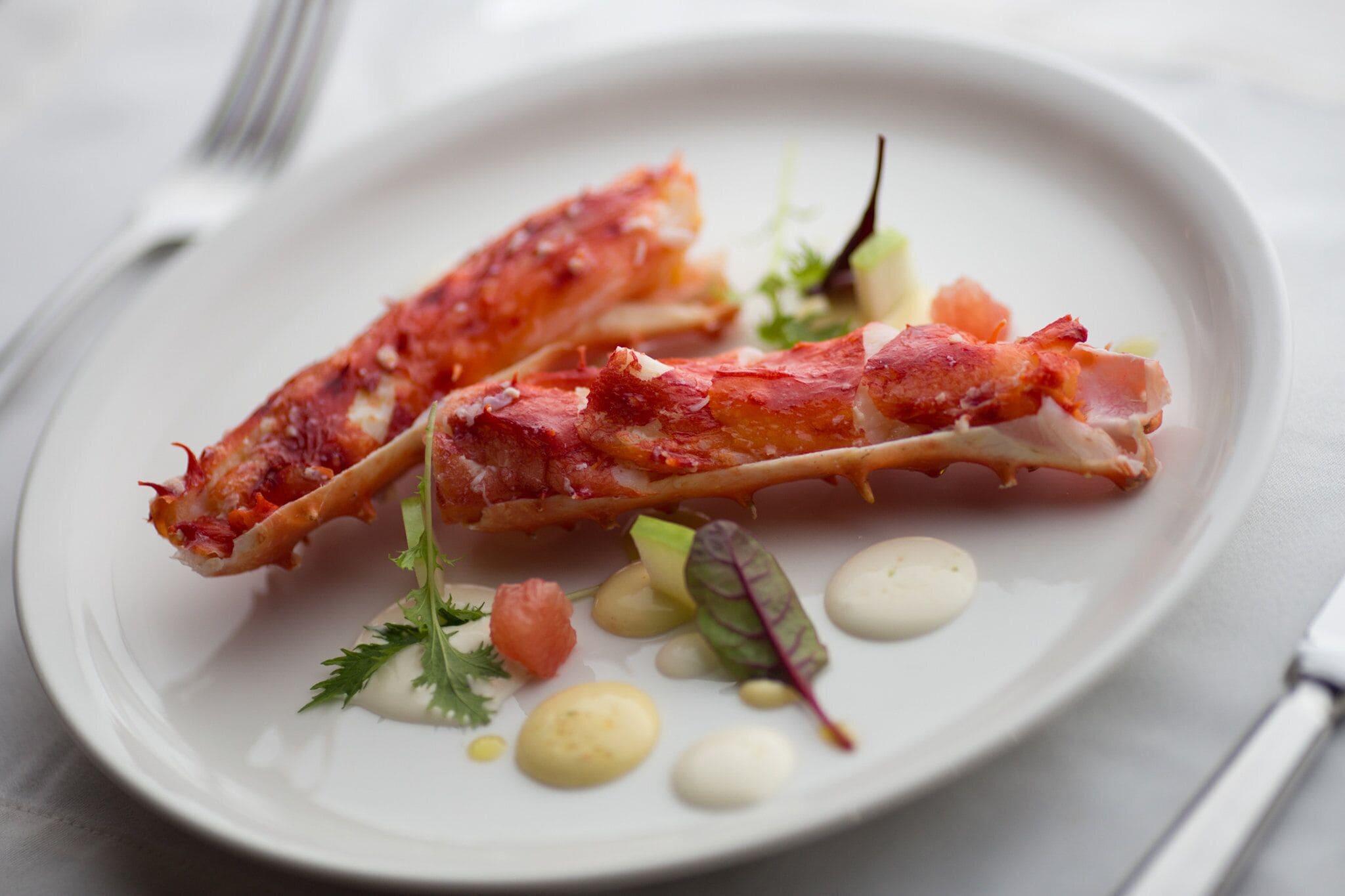 A plate with two pieces of food, garnished with herbs and small dollops of sauce.