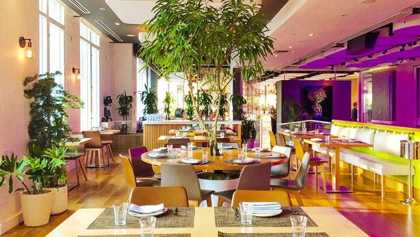 Un ristorante con diversi tavoli, sedie e piante in vaso.