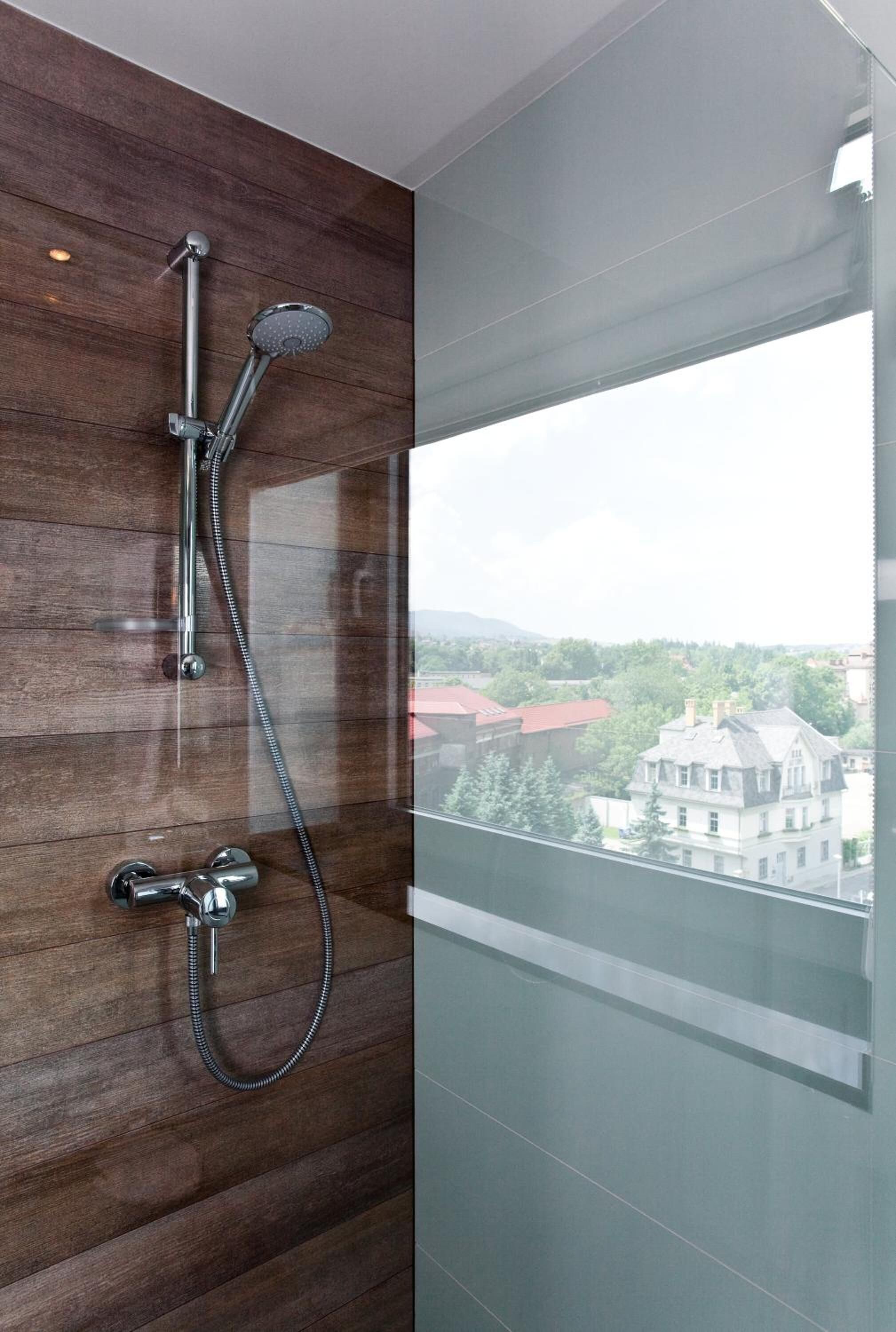 combined shower/bathtub, free toiletries, hair dryer, towels