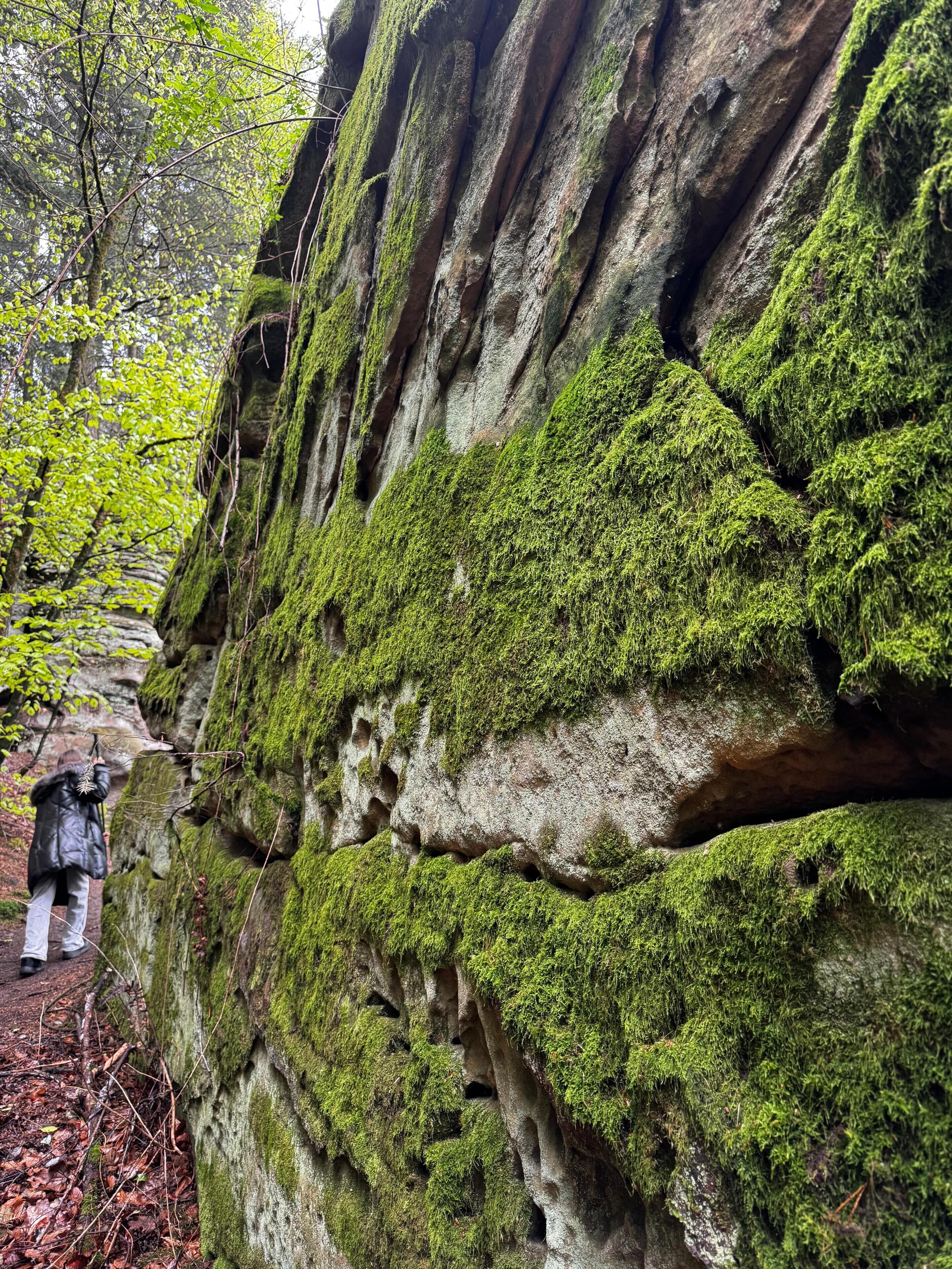 A moss-covered rock formation with a person standing nearby.