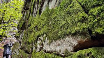 A moss-covered rock formation with a person standing nearby.