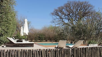 Outdoor pool, pool umbrellas, sun loungers