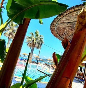Outdoor pool, pool umbrellas, pool loungers - Maria' s Beach Apartments (Corfu)