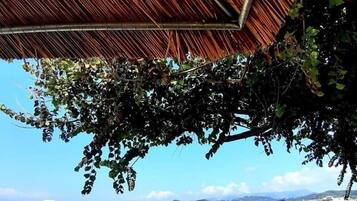 Vista a la playa o el mar