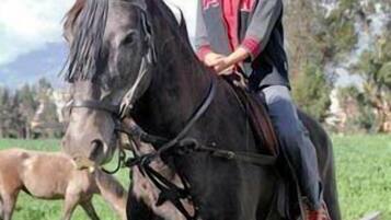 Una persona montando a caballo en un campo cubierto de hierba, con montañas al fondo.