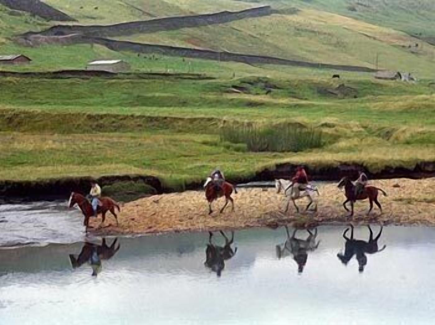 Un paisaje rural con un arroyo y caballos.