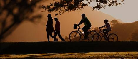 Schatten von Menschen, die in einem Park spazieren und Fahrrad fahren, mit einem Berg im Hintergrund.