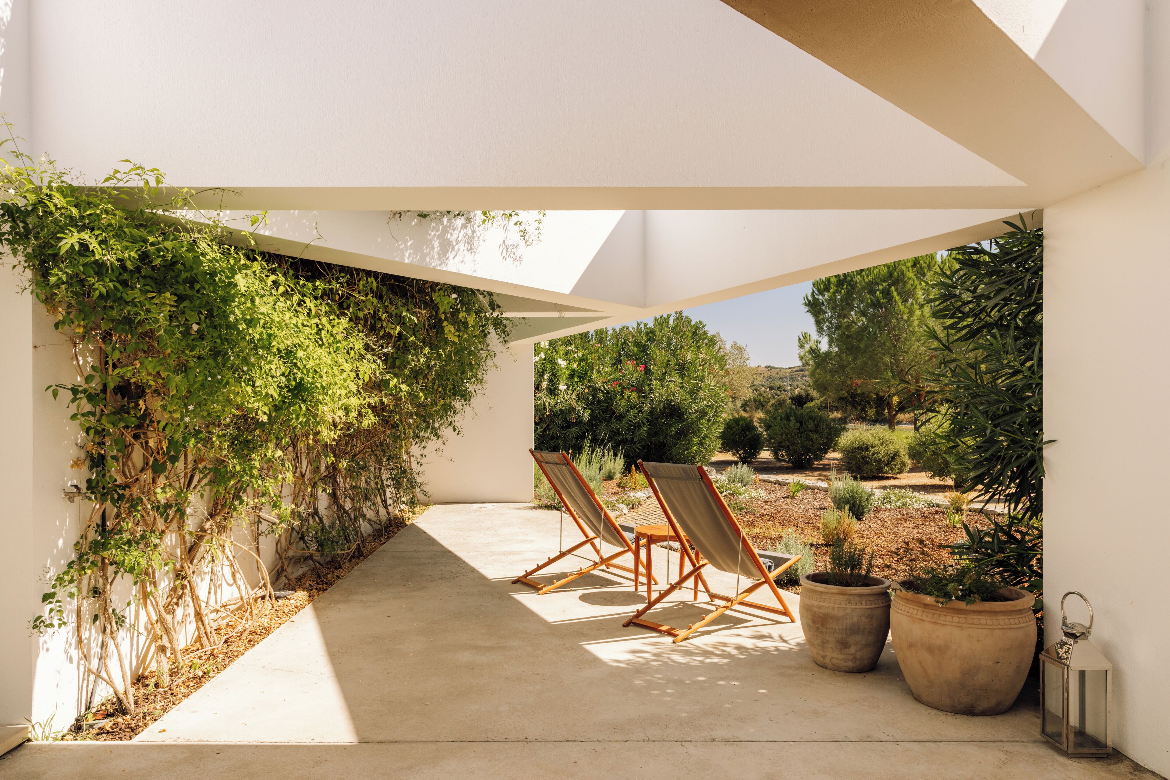 Une terrasse avec deux chaises, des plantes en pot et un mur recouvert de plantes grimpantes.