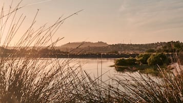 A serene lakeside view with tall grasses in the foreground, a distant hill, and a clear sky.