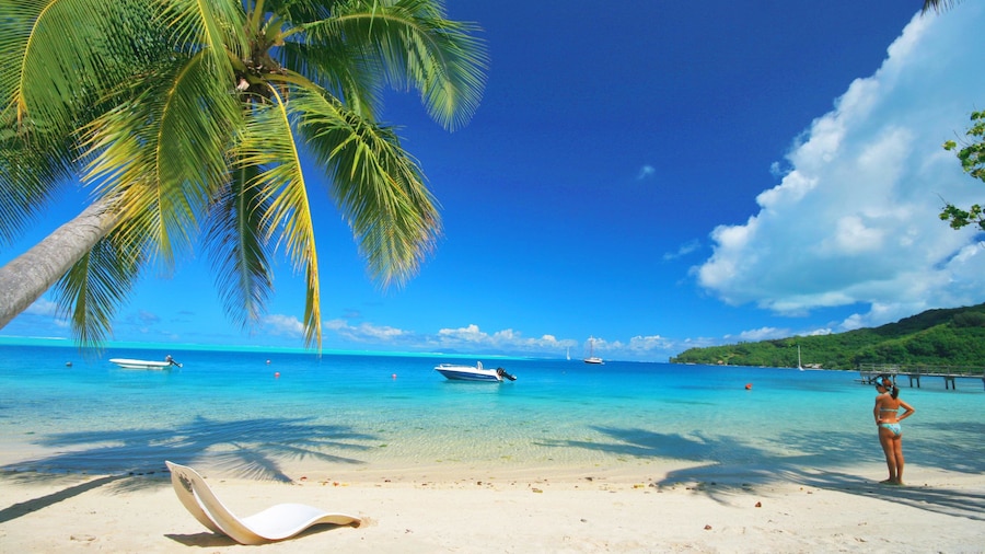 Hotel Le Mahana Huahine