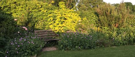 Un jardín con un banco de madera rodeado de exuberante follaje y plantas florecientes.
