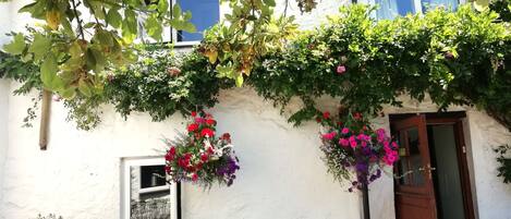 Un edificio rústico con fachada blanca, bancos de madera y cestas de flores colgantes.