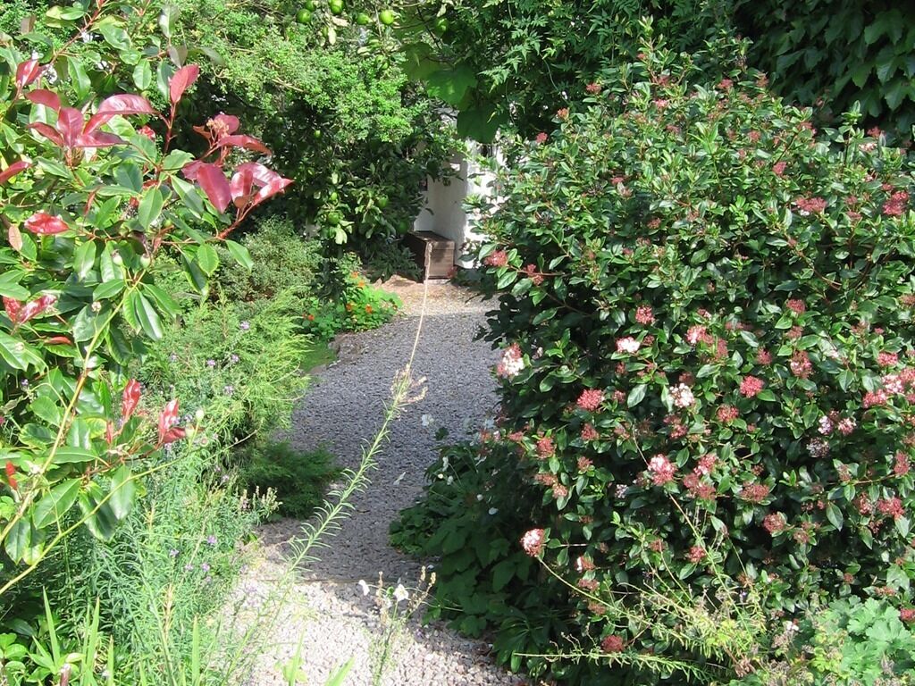 A garden pathway surrounded by lush greenery and flowering plants.