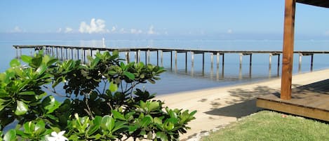 A wooden pier extending into calm waters, a sandy beach, and lush greenery in the foreground.