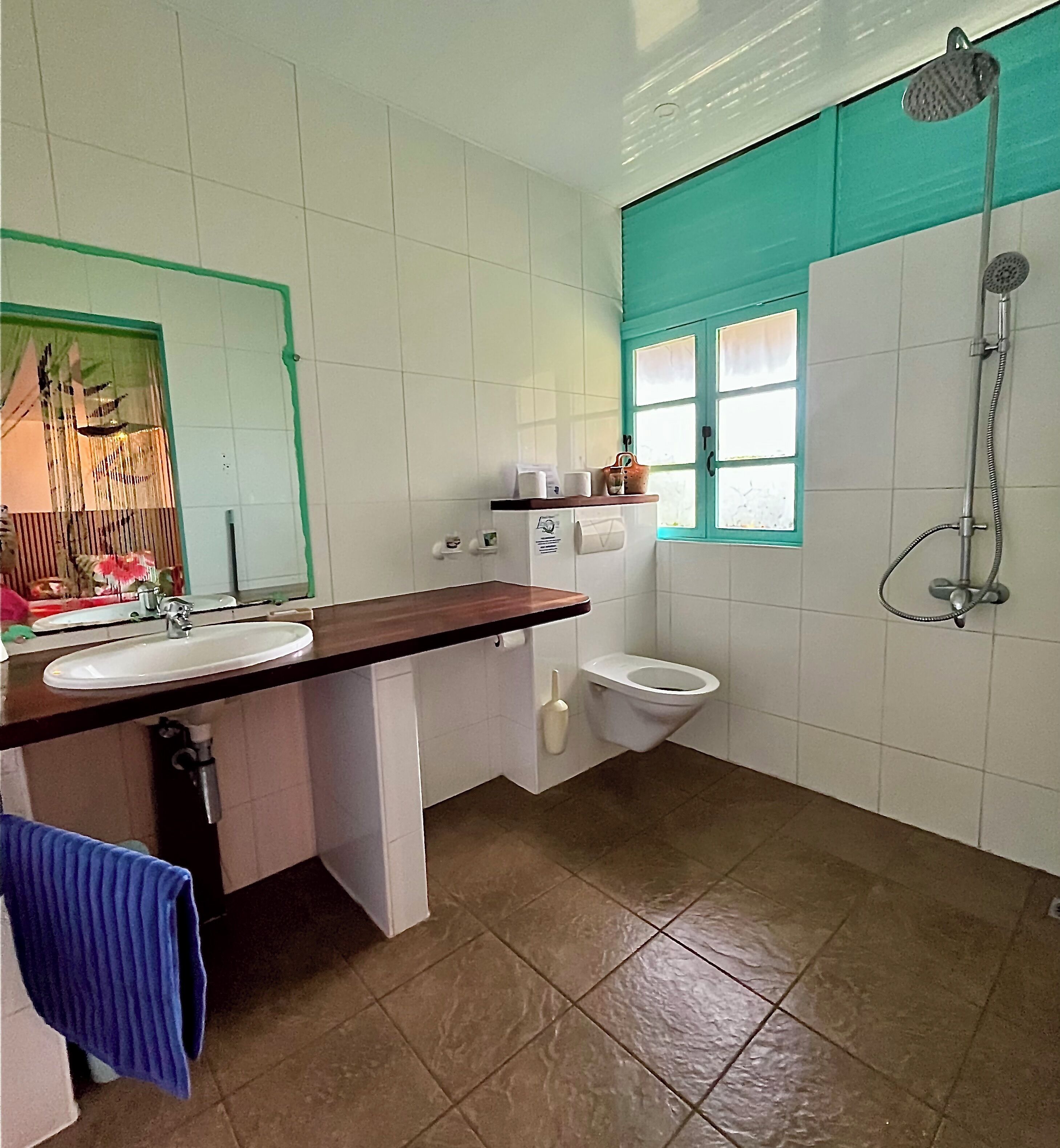 Un baño con lavamanos, inodoro y ducha.