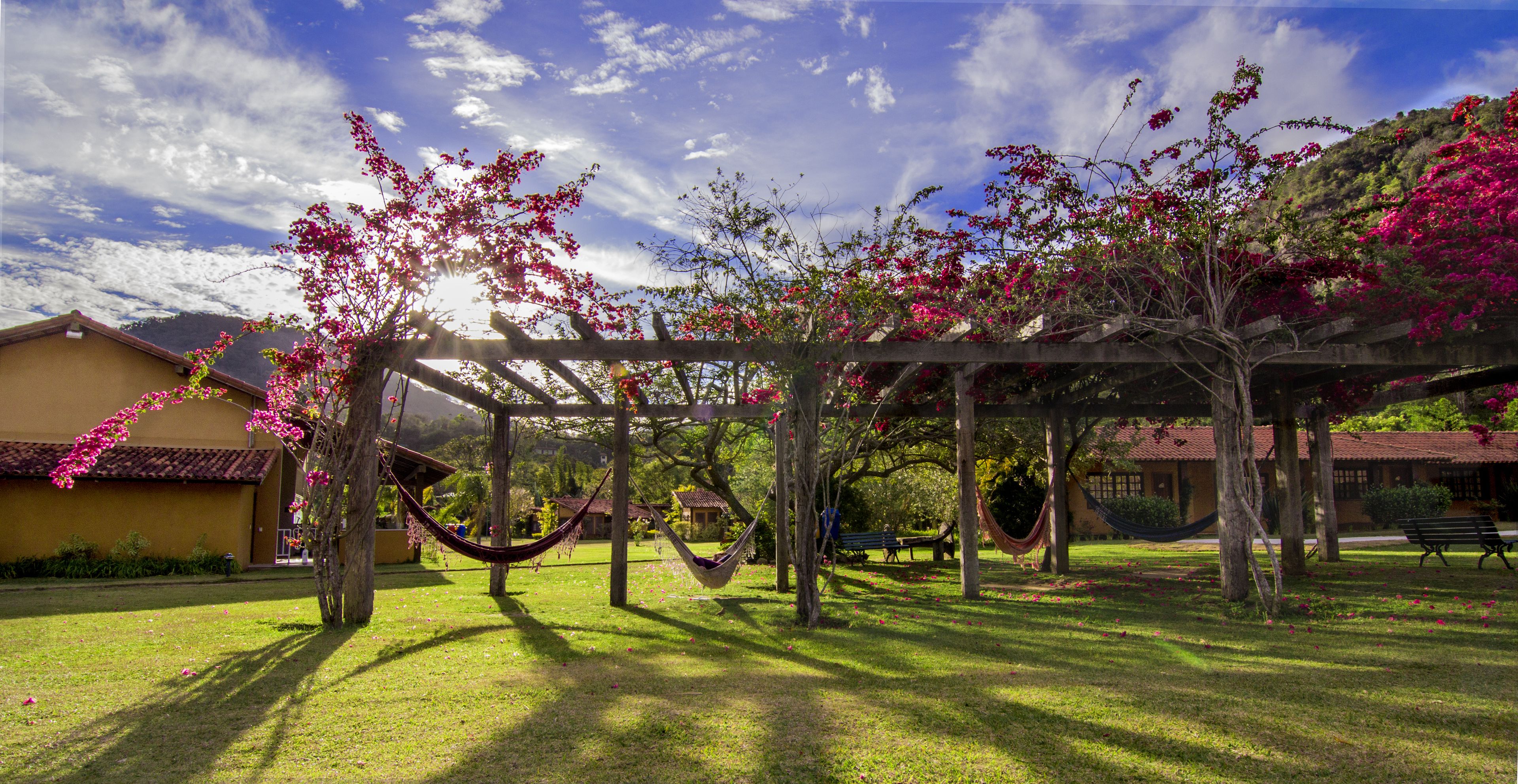 A garden with a pergola, hammocks, and a bench.