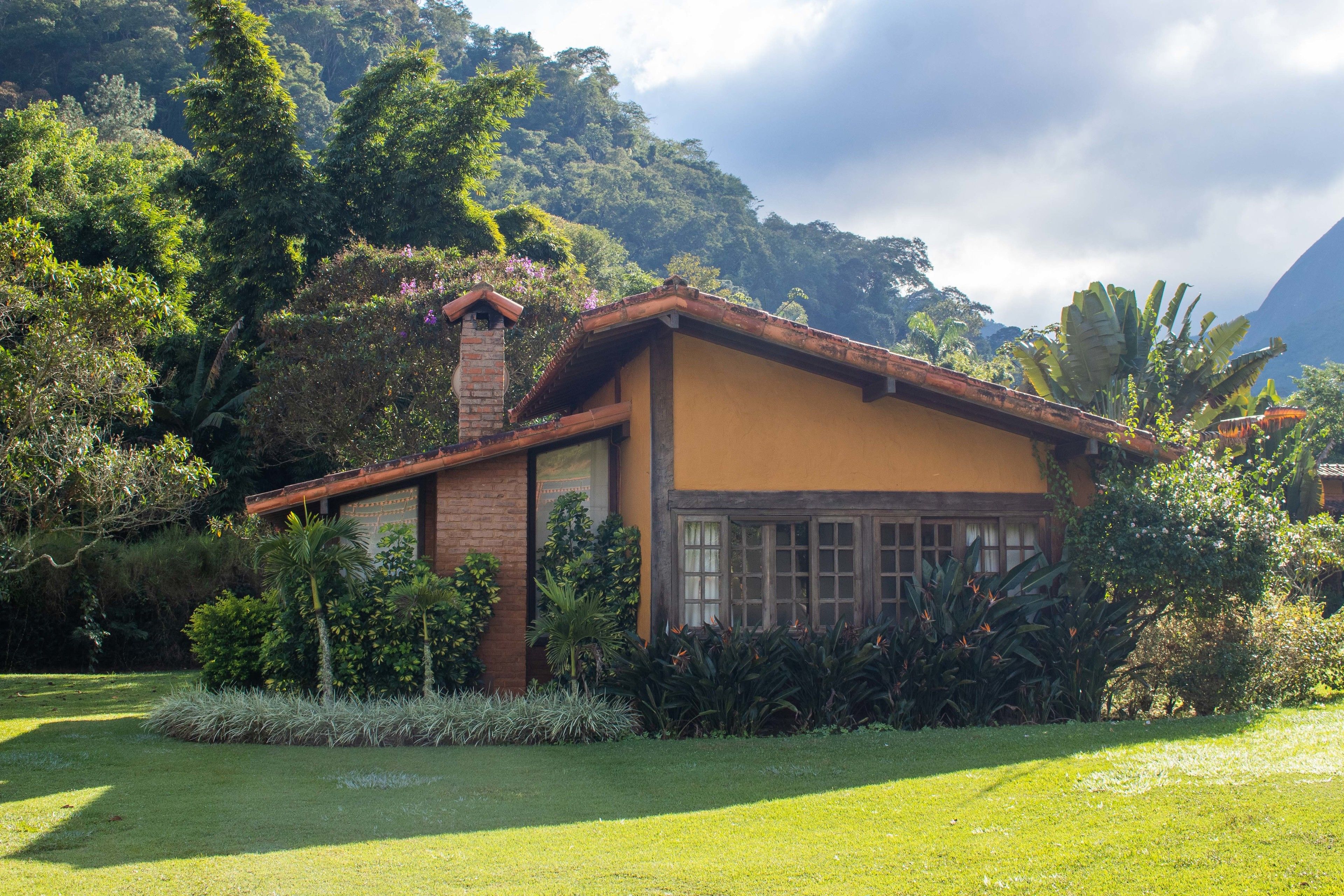 A house with a brick chimney, a window with a wooden frame, and a garden with various plants.
