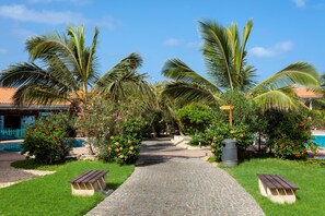 Exterior - Melia Tortuga Beach (Sal)