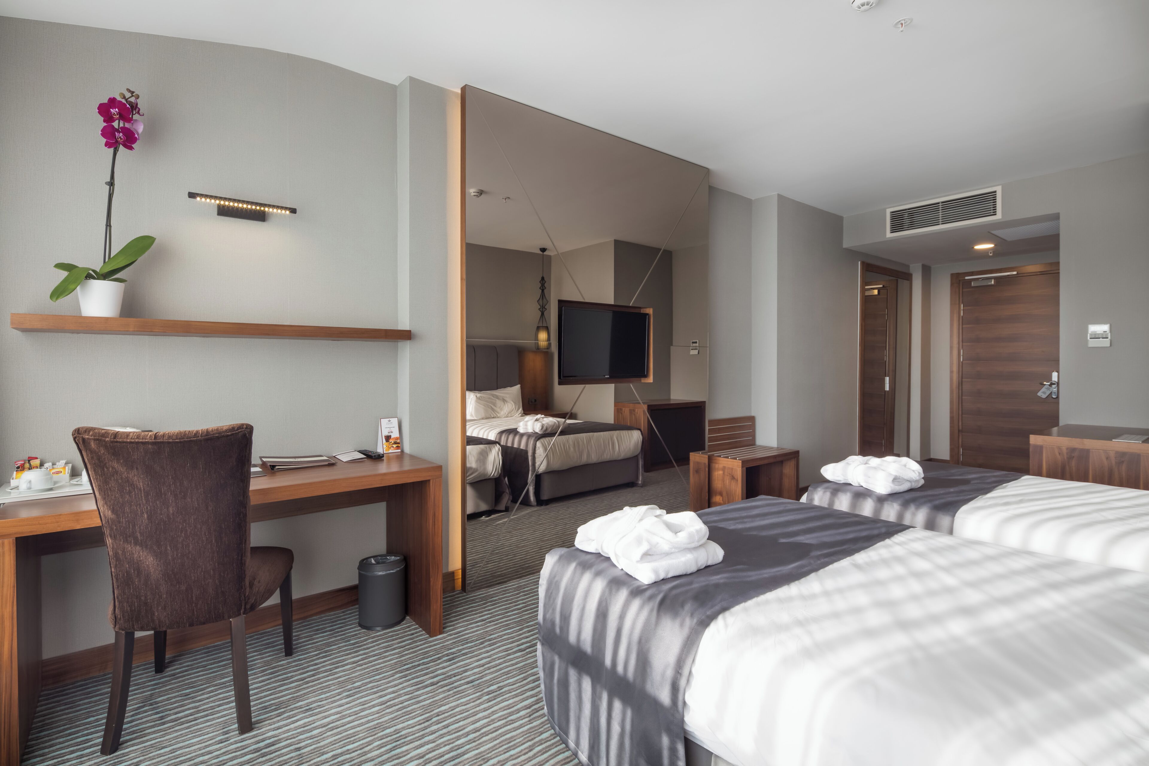 A hotel room with a desk, two beds, a TV, a plant, and a shower area.