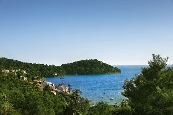 Eksteriør