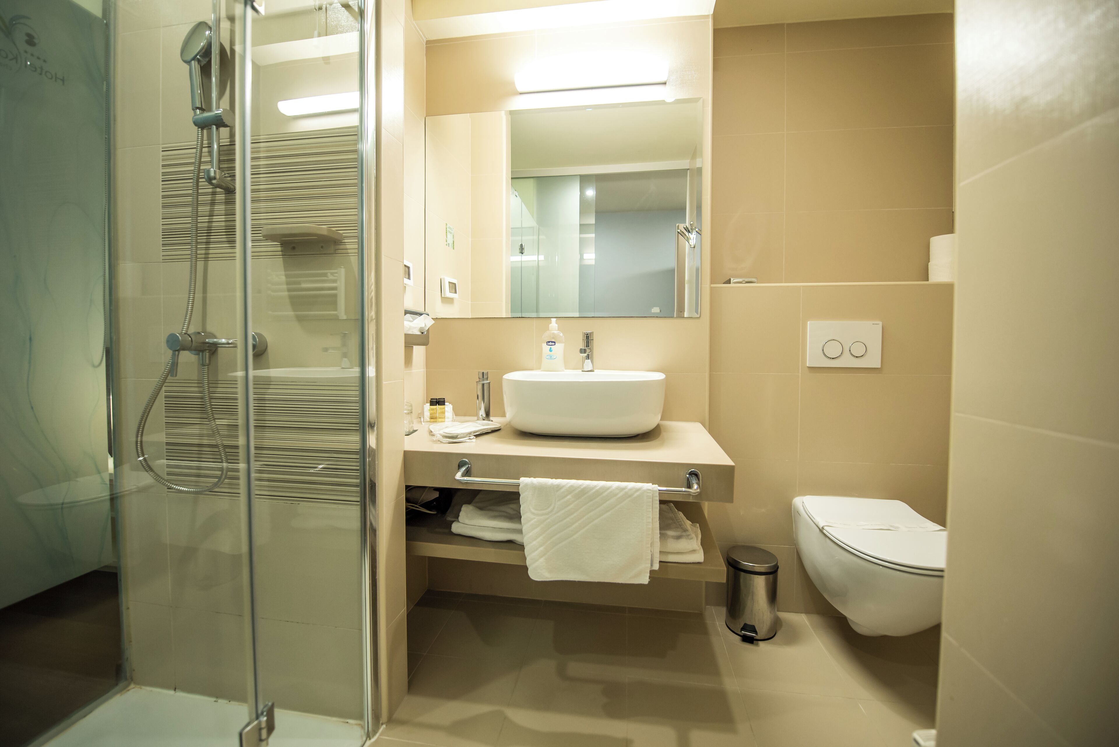 Une salle de bain moderne avec une douche à parois de verre, un lavabo blanc et des toilettes.
