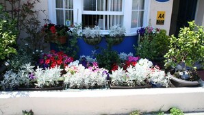 En forhave med forskellige krukker og blomster, et vindue med hvide rammer, og et skilt der viser 'AA' og 'Philbeach Guest House' med et telefonnummer.