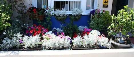 Majoituspaikan sisäänkäynti