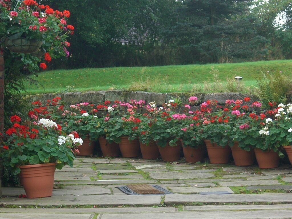 Foto - Ash Farm Country House