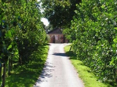 Blounts Court Farm