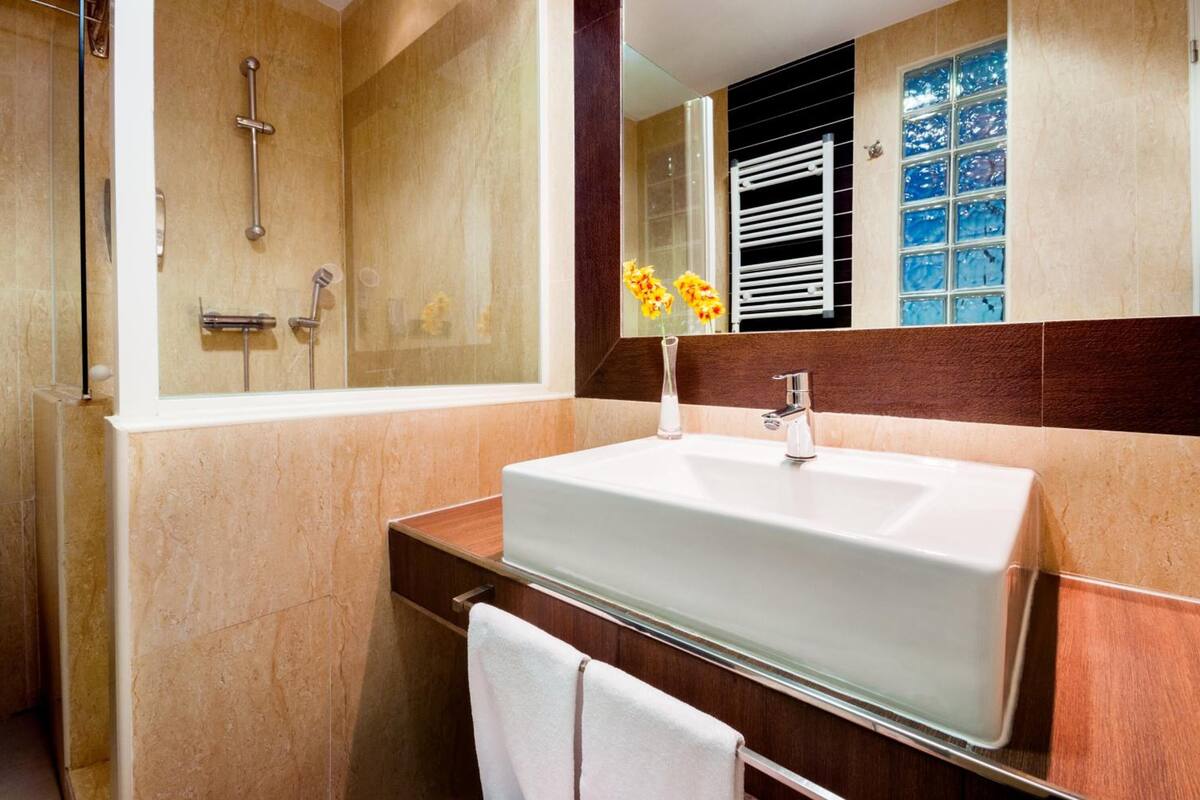 combined shower/bathtub, free toiletries, hair dryer, towels