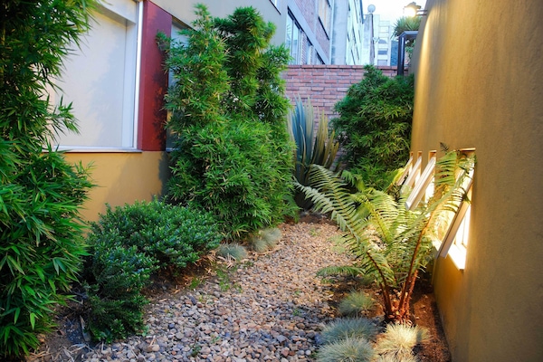 Jardim